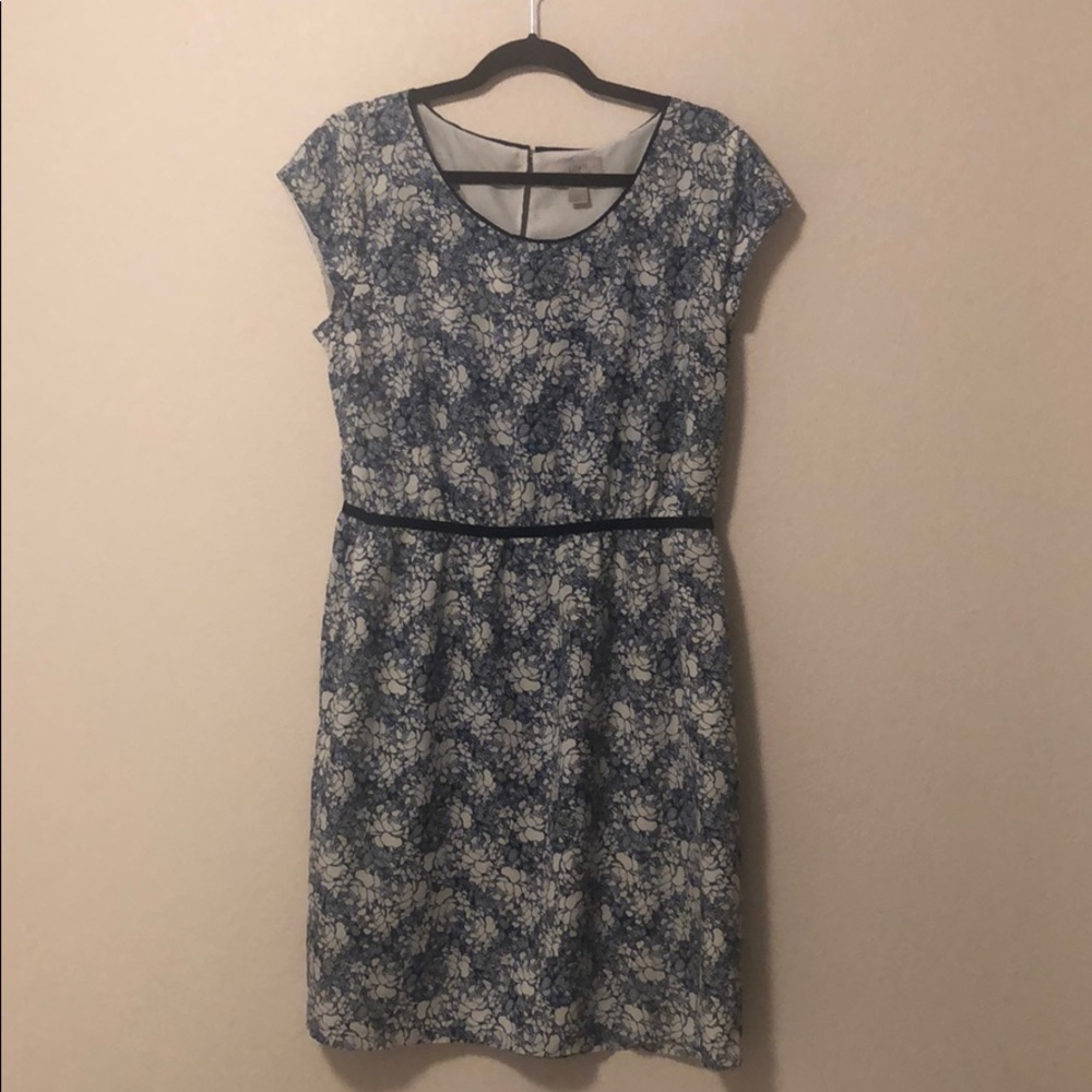 LOFT Blue and White Flower Dress